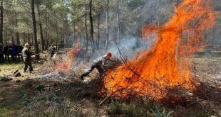 Ormanda ateş yakma yasağı başladı