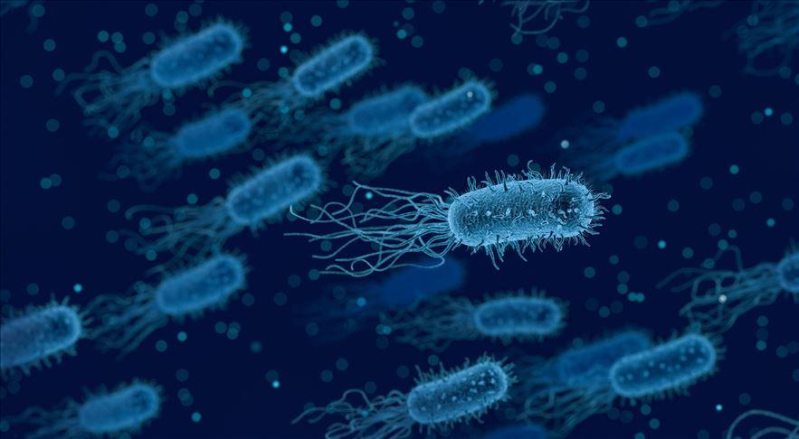 bilim insanlari yapay zekayla super bakteriye karsi yeni antibiyotik gelistirdi 02
