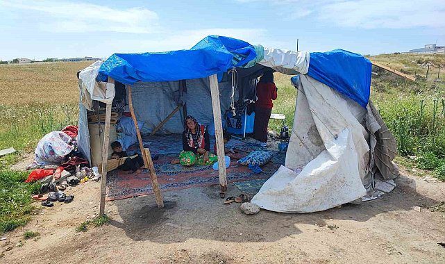 Çocukların terk ettiği yaşlı kadını çadırda da istemiyorlar!