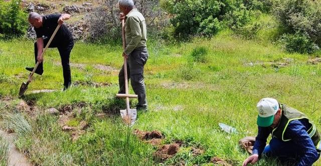 Kaçak salep soğanı toplayan 6 kişiye ceza!