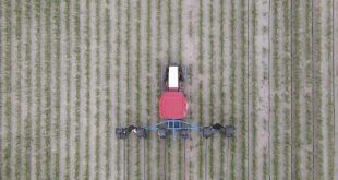 Tarım ihracatında ocak-nisan rekoru kırıldı