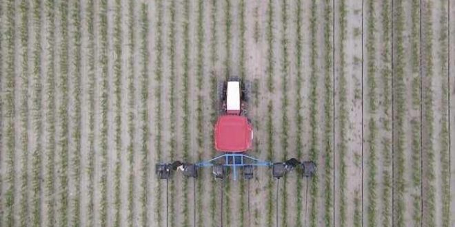 Tarım ihracatında ocak-nisan rekoru kırıldı