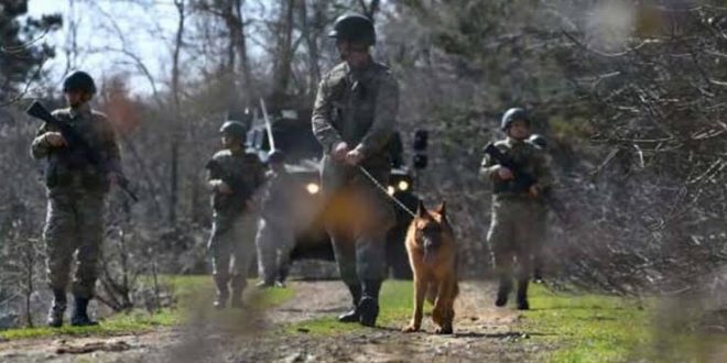 Yunanistan'dan kaçak girmeye çalışan 39 kişi yakalandı
