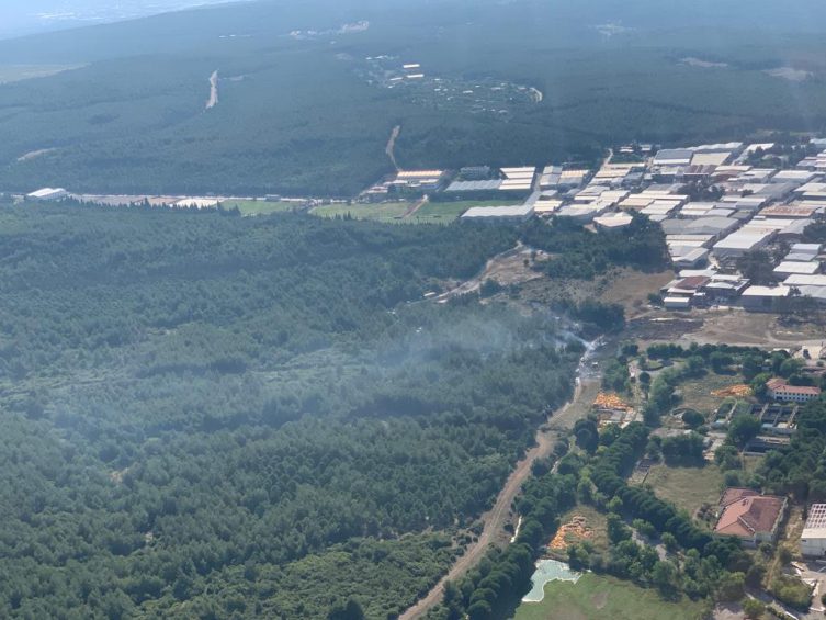 İzmir'de orman yangını! İzmir'de orman yangını!