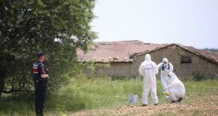 Çalılık alanda parçalanmış ceset bulundu