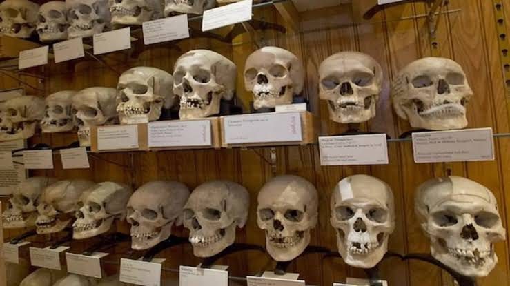 Fransa'nın kanlı tarihine yolculuk