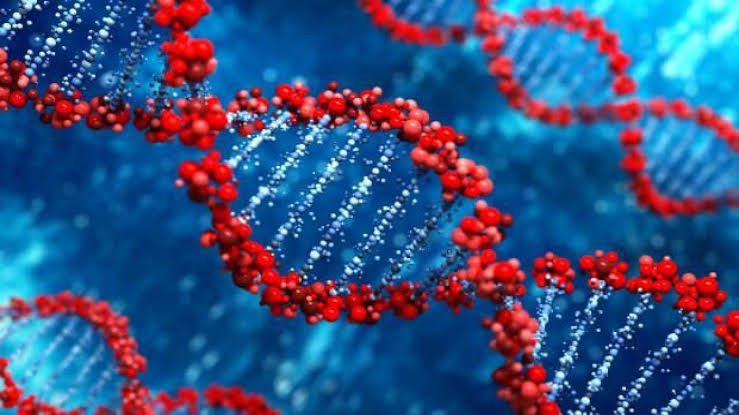 ‘Güvenli’ denilen maddenin DNA’ya zarar verdiği ortaya çıktı!