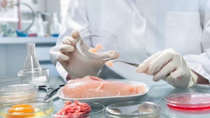 Laboratuvarda üretilen tavuk eti sofralara geliyor!