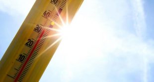 Meksika'da aşırı sıcaklardan ölenlerin sayısı artıyor