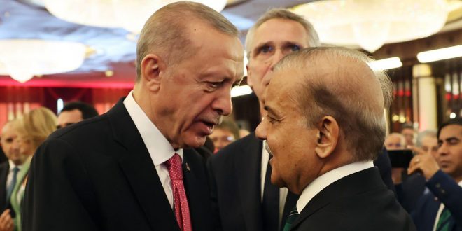Şahbaz Şerif'ten Erdoğan çiftine mango hediyesi