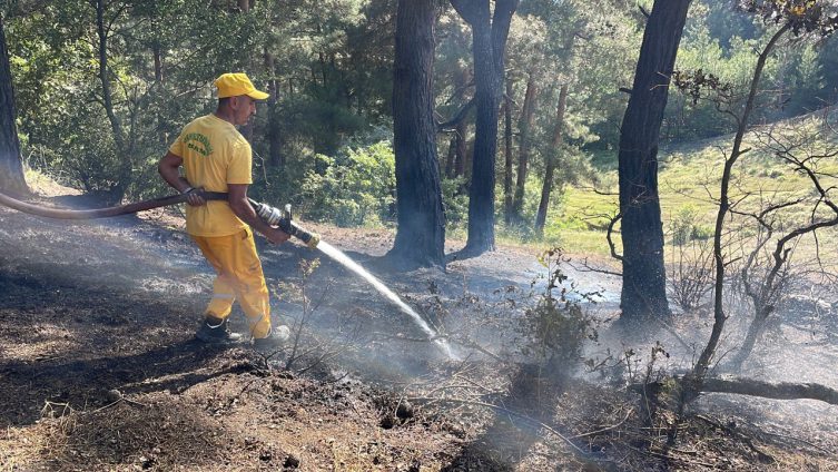 Bursa'da aynı anda 2 ayrı noktada yangın Bursa'da aynı anda 2 ayrı noktada yangın