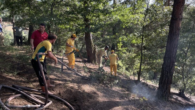 Bursa'da aynı anda 2 ayrı noktada yangın Bursa'da aynı anda 2 ayrı noktada yangın