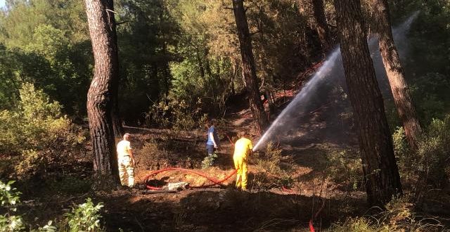 Bursa'da aynı anda 2 ayrı noktada yangın