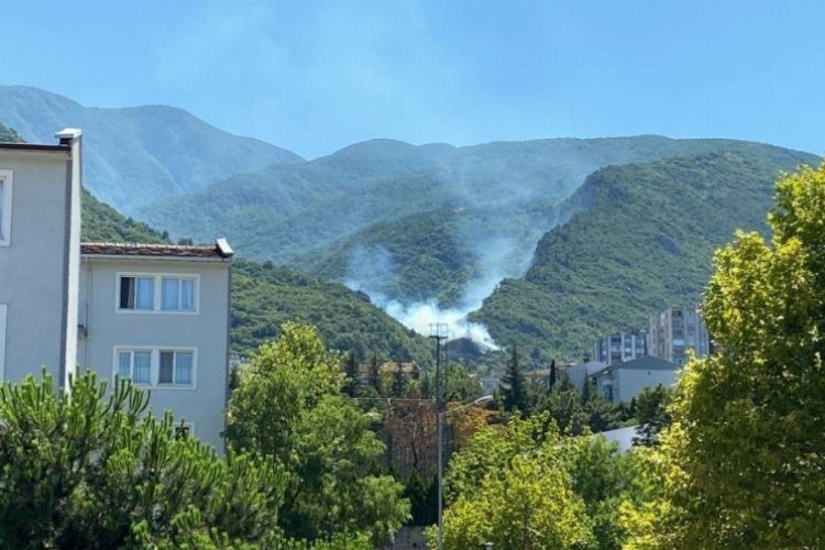 Bursa Kaplıkaya’da orman yangını!