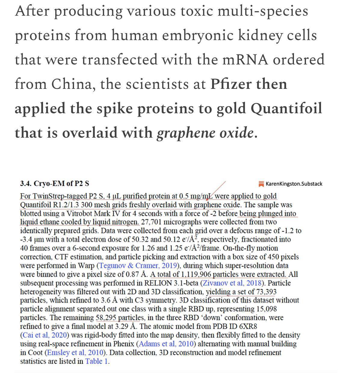 Covid-19 aşısının ölümcül madde varlığı Pfizer belgelerinde!