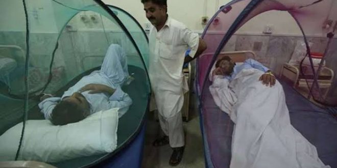 Dang humması Bangladeş'te can almaya devam ediyor