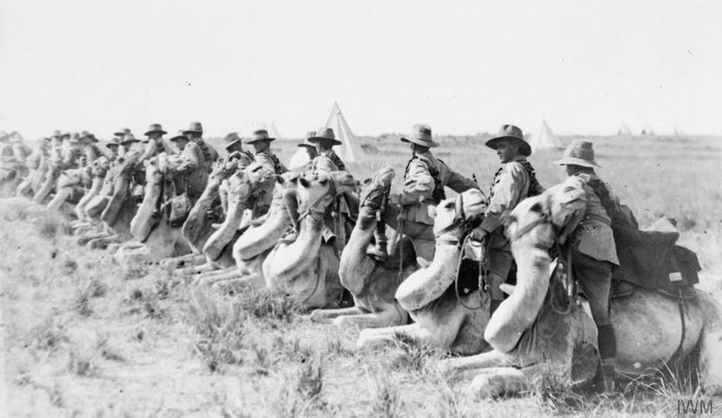 Yalan söyleyen Milli diye yutturulan tarih bunu yazmadı: Atatürk Filistin'de ne yaptı?