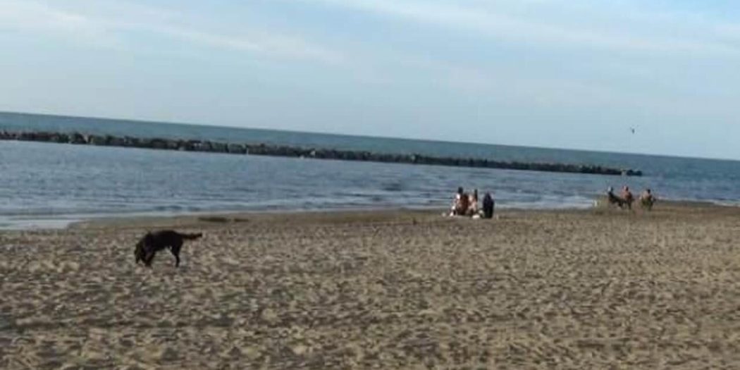 Karadeniz’in sessiz tehdidi ‘rip’; 304 kişi öldü