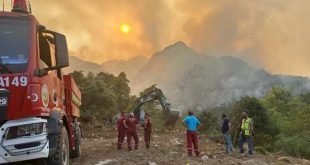 Kemer'deki orman yangınına müdahale sürüyor