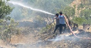 Siirt'te fıstık bahçesinde yangın çıktı