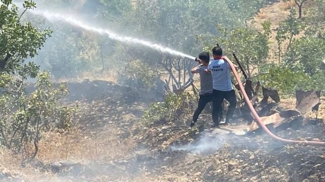 Siirt’te fıstık bahçesinde yangın çıktı
