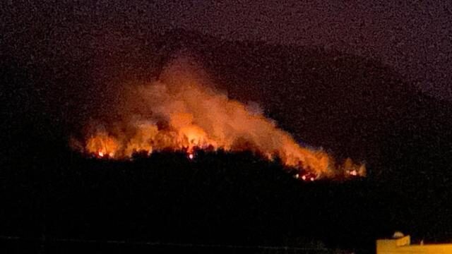 Adana’da orman yangını çıktı