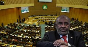 Afrika ülkeleri arasında "darbe krizi"