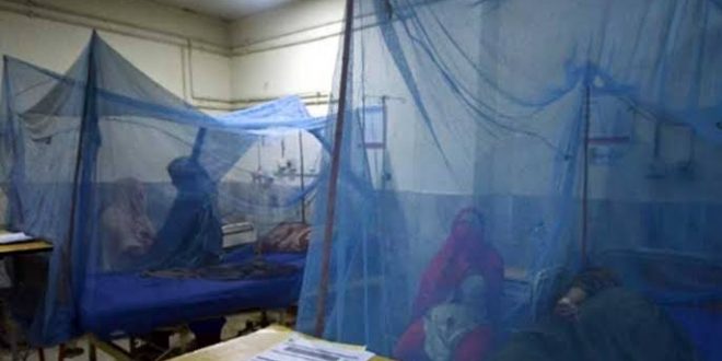 Dang humması salgını kontrolden çıktı! Ölü sayısı 416'ya yükseldi