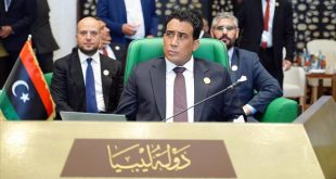 Nijerya, Libya ile Nijer meselesini görüştü