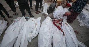 "İnsansı hayvanlarla savaşıyoruz" diyen İsrail'in "insandışılaştırma" hilesi!