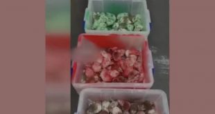 McDonalds şubesinde fareli Filistin protestosu