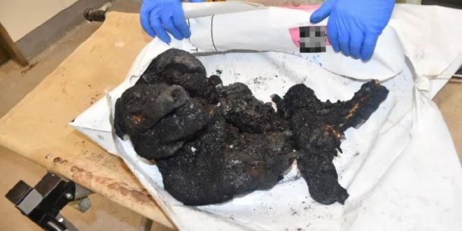 Netanyahu'nun yakılan çocuklar iddiasının fotoğraf kanıtı bakın ne çıktı!