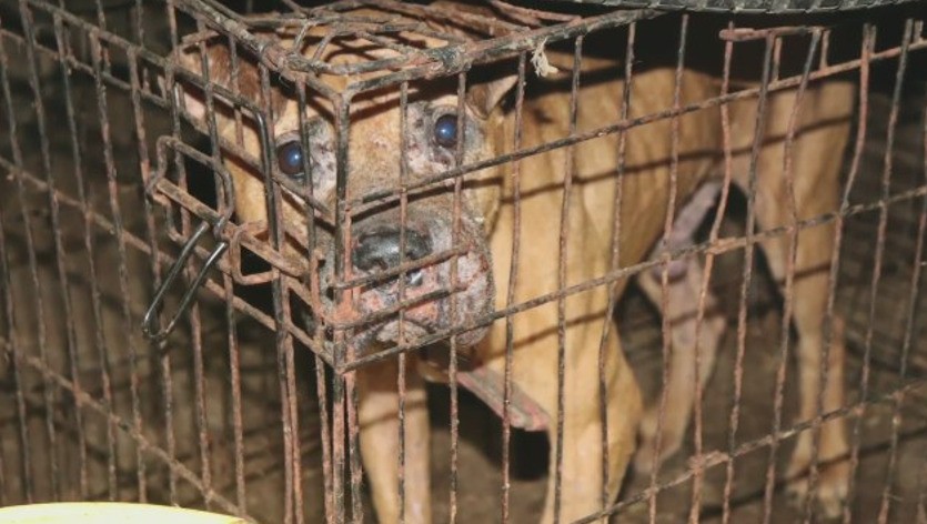 Üst düzey Pentagon yetkilisi çete üyesiymiş! Üst düzey Pentagon yetkilisi çete üyesiymiş!