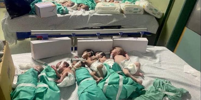 Şifa Hastanesi'nin bebeklerinden acı haber