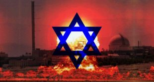 Terörist köpekler yine saldırıyor![Videolu]