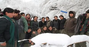 PKK kan kaybetmeye devam ediyor!