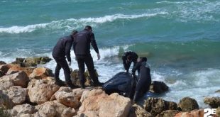 Önce Antalya şimdi de KKTC! Ekipler alarmda