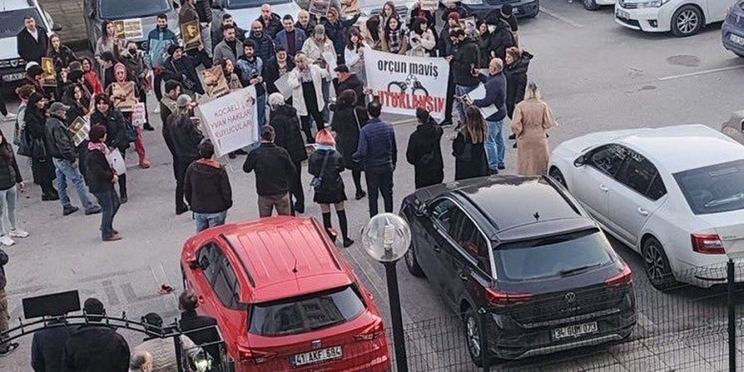 “Neden köpeğe çocuğunu parçalamasına izin vermedin” protestosu![Videolu]