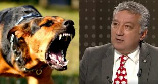 HAYTAP, Köpek terörü için 'pireyi deve yapıyorsunuz' dedi!