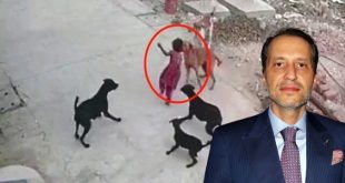 Erbakan seçim sonrası çark edip köpekseverlere katıldı!