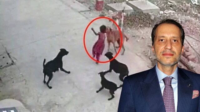 Erbakan seçim sonrası çark edip köpekseverlere katıldı!