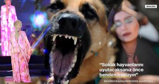 Köpek terörüne ünlülerden destek: "Bizi de uyutun o zaman!"