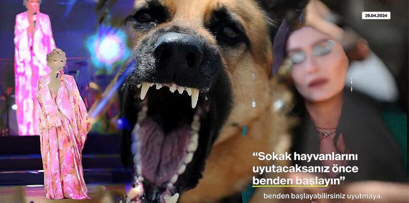 Köpek terörüne ünlülerden destek: “Bizi de uyutun o zaman!”