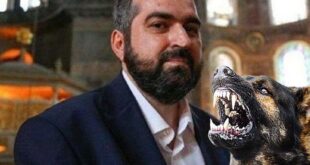 "Köpek terörünün temeli 2004'de atıldı"