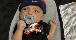 Evde köpek beslemenin bedelini 6 haftalık bebek ödedi