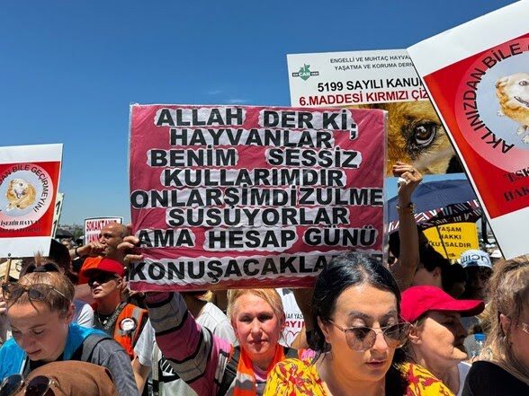 Köpekseverler Yenikapı’da haykırdı: Sokaklar köpeklerin!