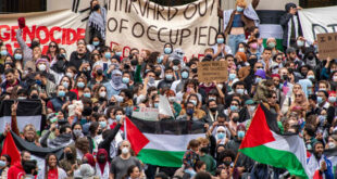 231025 palestine protest harvard mn 1330 db897c