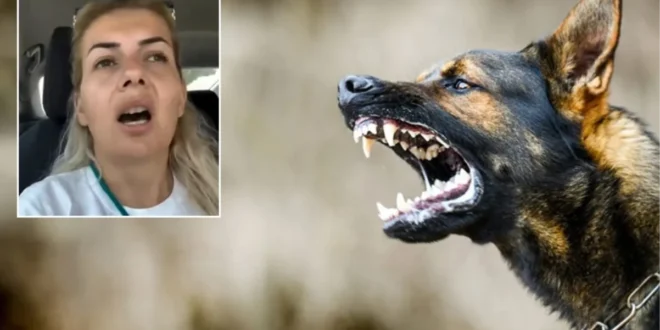 kuduz kopek iddiasi ankara valiligi ni 17416765 6527 amp