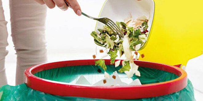 1631945576978 gida israfi