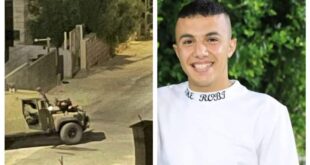 MixCollage 25 Aug 2024 05 51 PM 5239 1068x601